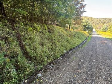 1235 Kansas Hollow Road, Bolivar, NY 14715