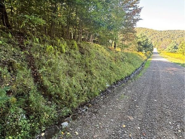 1235 Kansas Hollow Road , Bolivar, NY 14715
