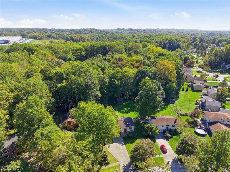 10459 Woodchuck Court, Twinsburg, OH 44087 Photo 14