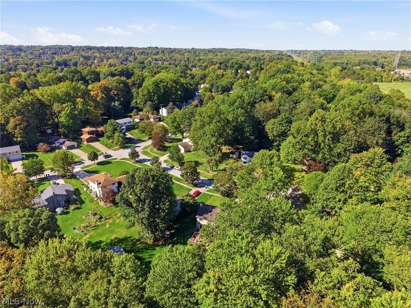 10459 Woodchuck Court, Twinsburg, OH 44087 Photo 15