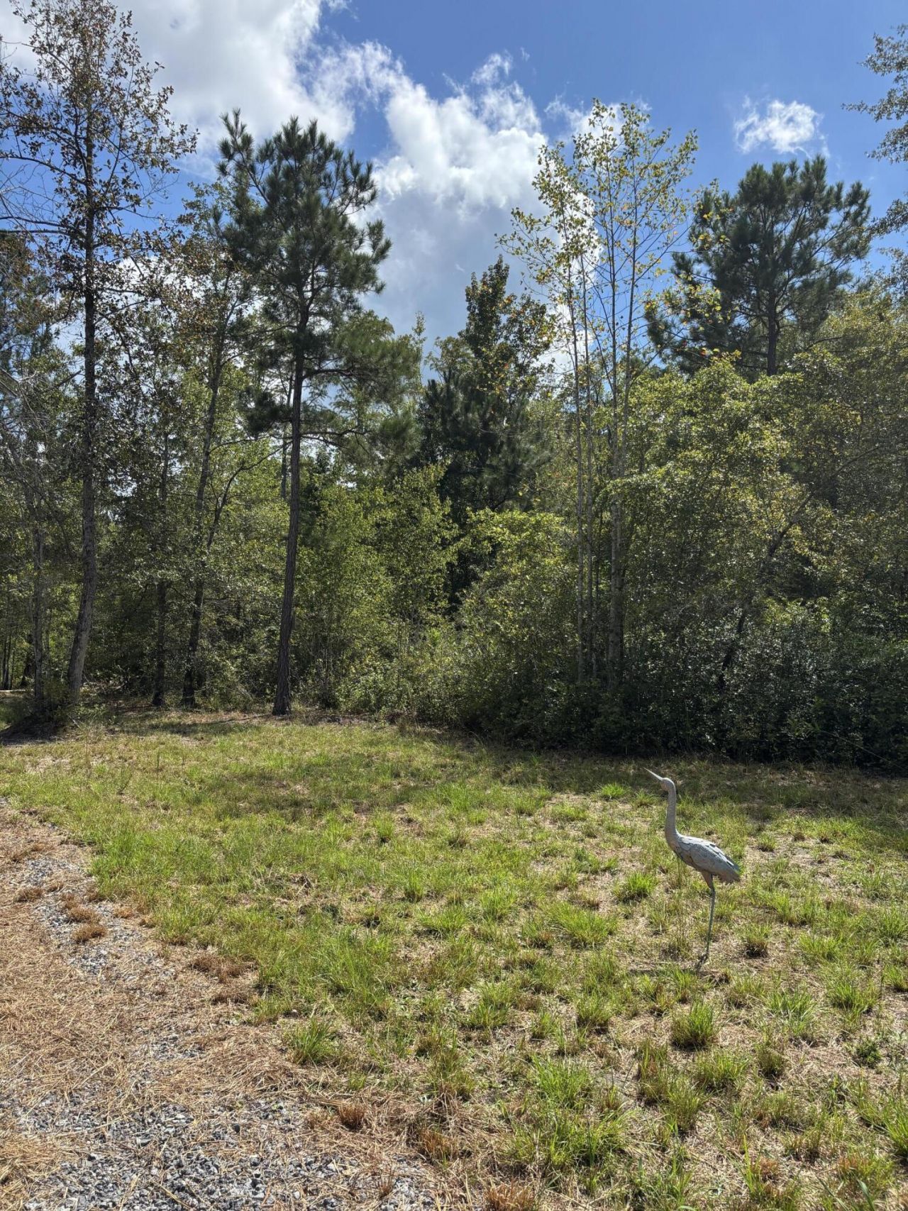 2190 Harristown Road Photo 13