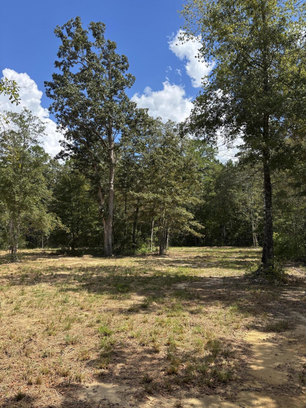 2190 Harristown Road Photo 16