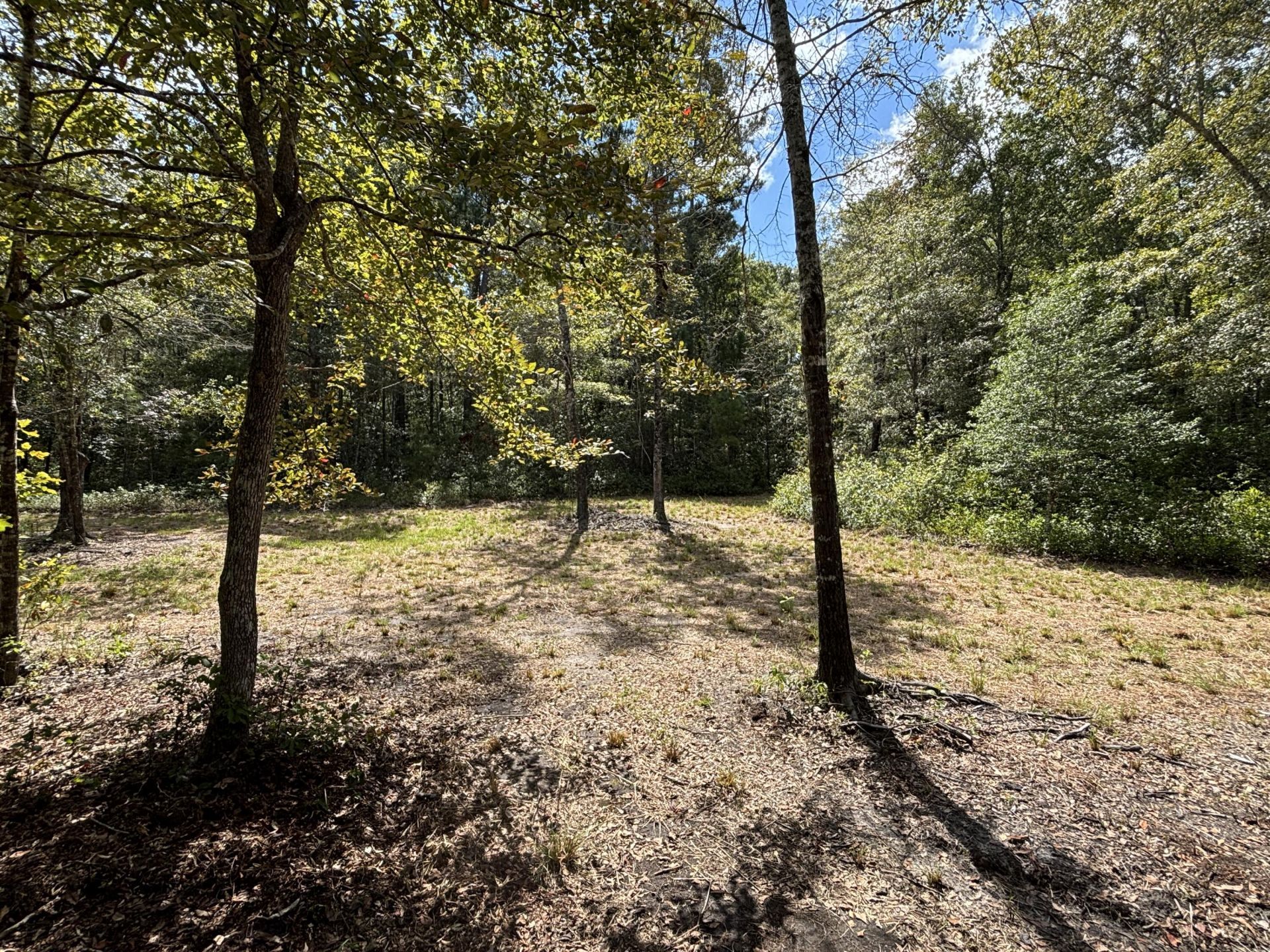 2190 Harristown Road Photo 21