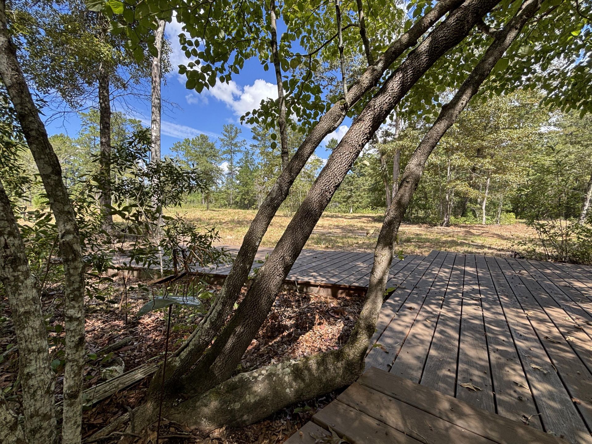 2190 Harristown Road Photo 23