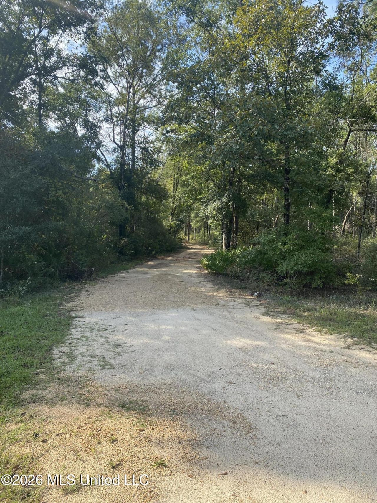 58 Grady Diamond Road, Perkinston, MS 39573 Main Photo