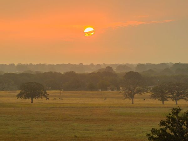 TBD 113 ACRES County Road 423, Harwood, TX 78959