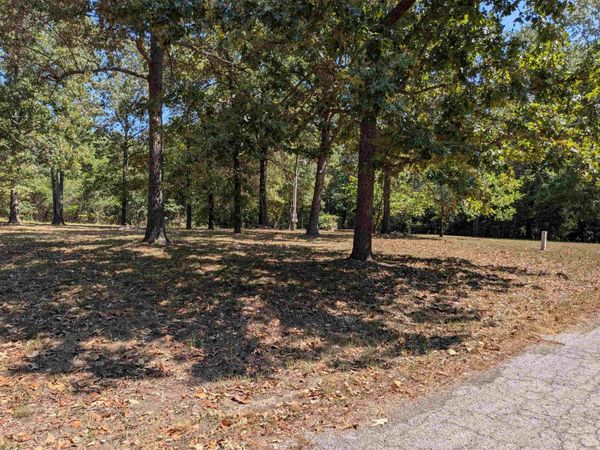 20 Guyon Drive , Cherokee Village, AR 72529