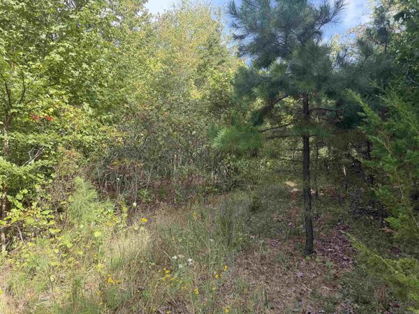 000 Rex Road , Alread, AR 72031