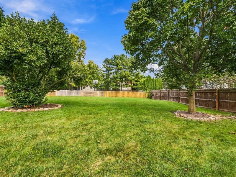 118 Halstead Court, Delaware, OH 43015 Photo 8