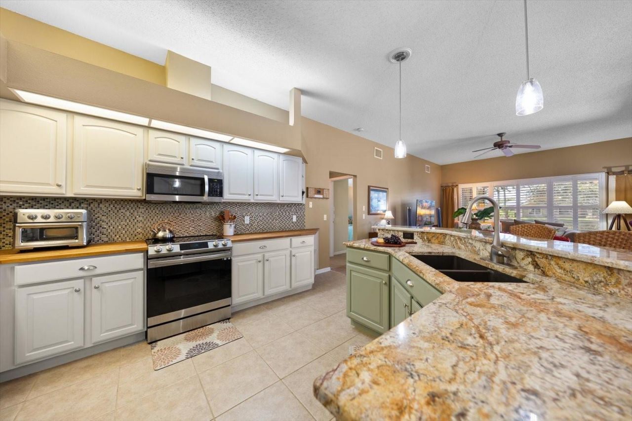 1237 Rambling Vine Court, Trinity, FL 34655 Photo