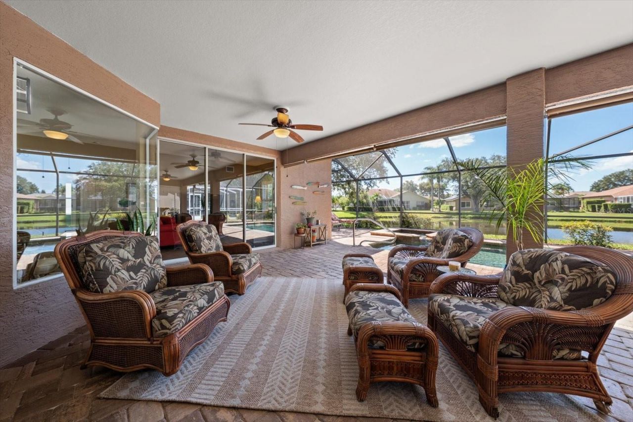 1237 Rambling Vine Court, Trinity, FL 34655 Photo