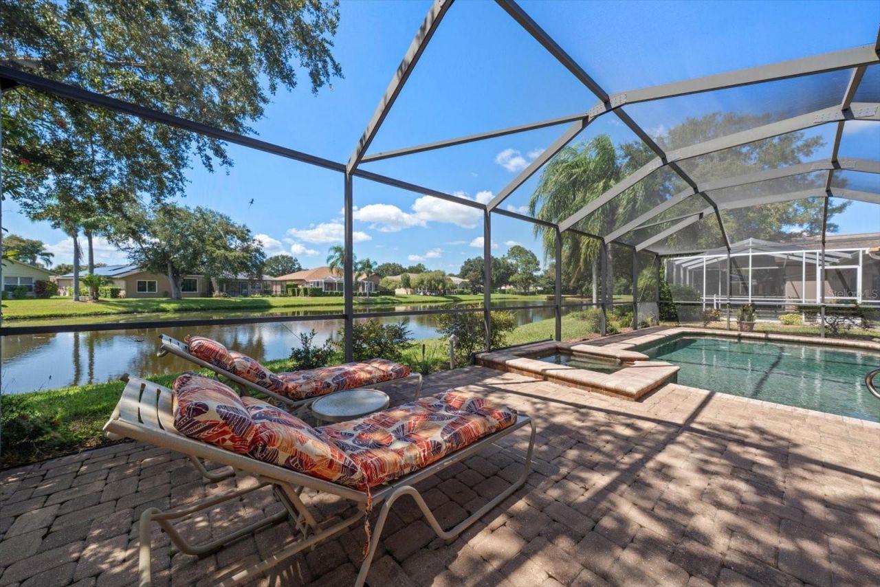 1237 Rambling Vine Court, Trinity, FL 34655 Photo