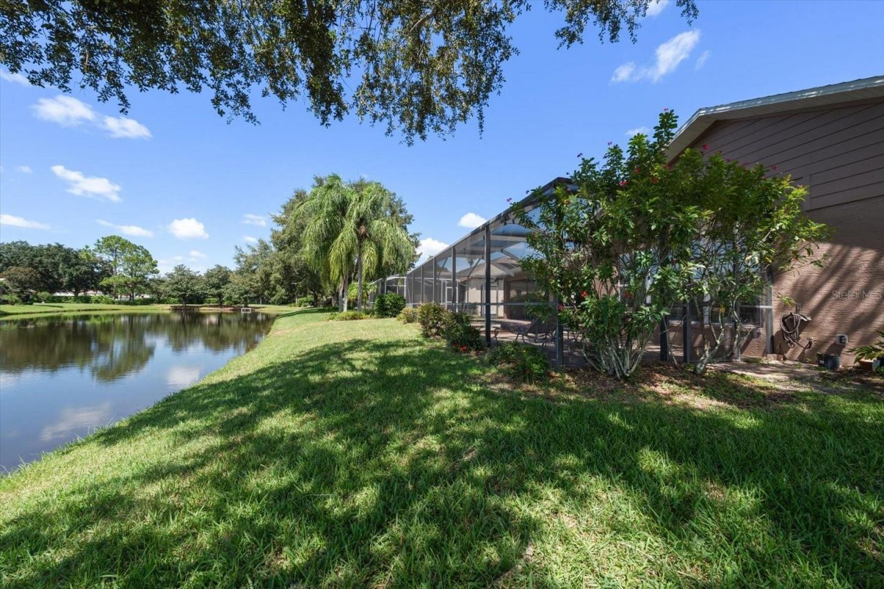 1237 Rambling Vine Court, Trinity, FL 34655 Photo