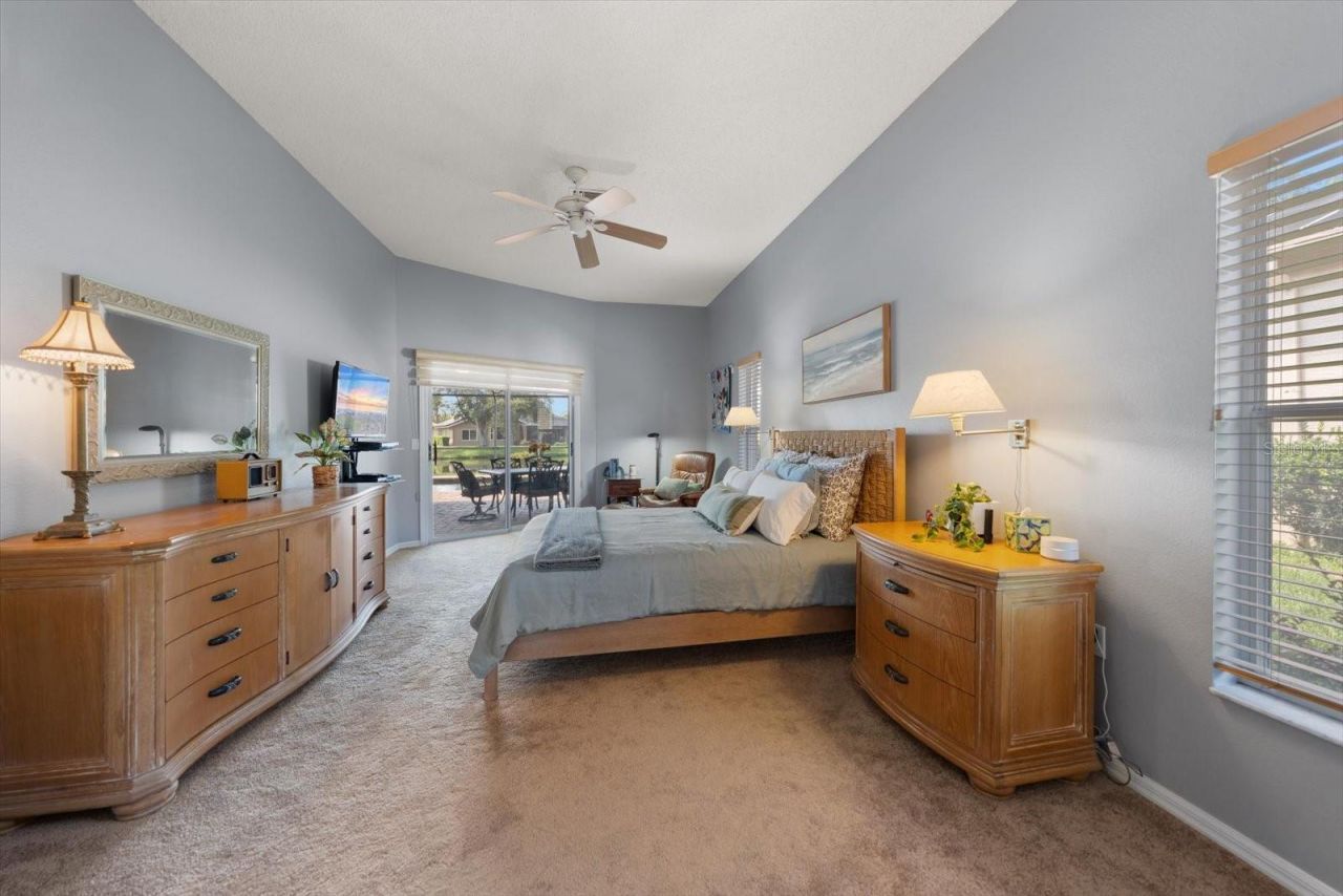 1237 Rambling Vine Court, Trinity, FL 34655 Photo