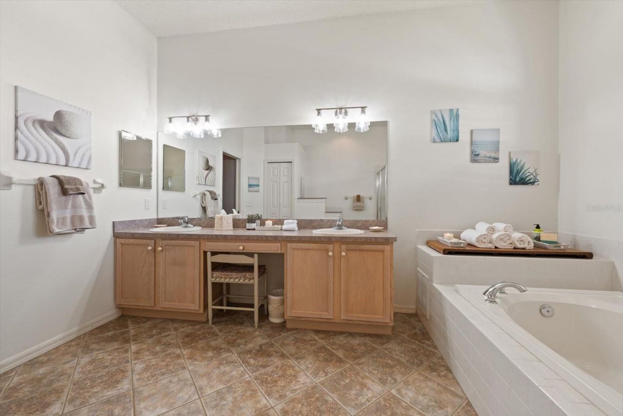 1237 Rambling Vine Court, Trinity, FL 34655 Photo