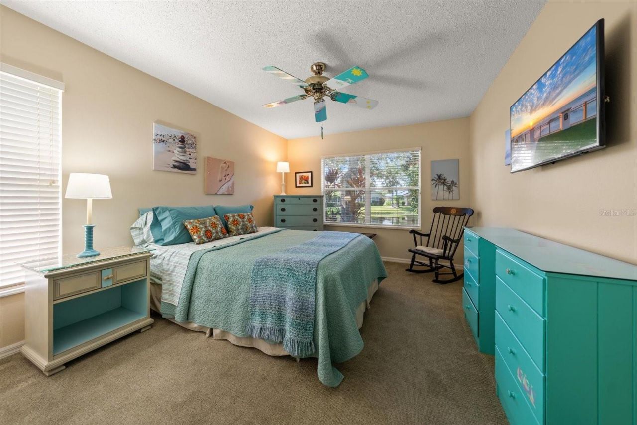 1237 Rambling Vine Court, Trinity, FL 34655 Photo