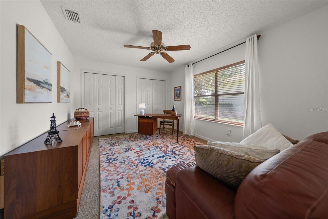 1237 Rambling Vine Court, Trinity, FL 34655 Photo