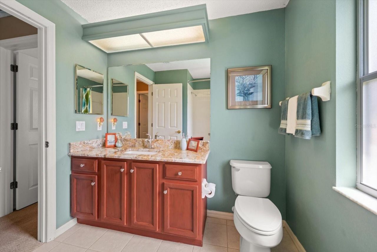 1237 Rambling Vine Court, Trinity, FL 34655 Photo