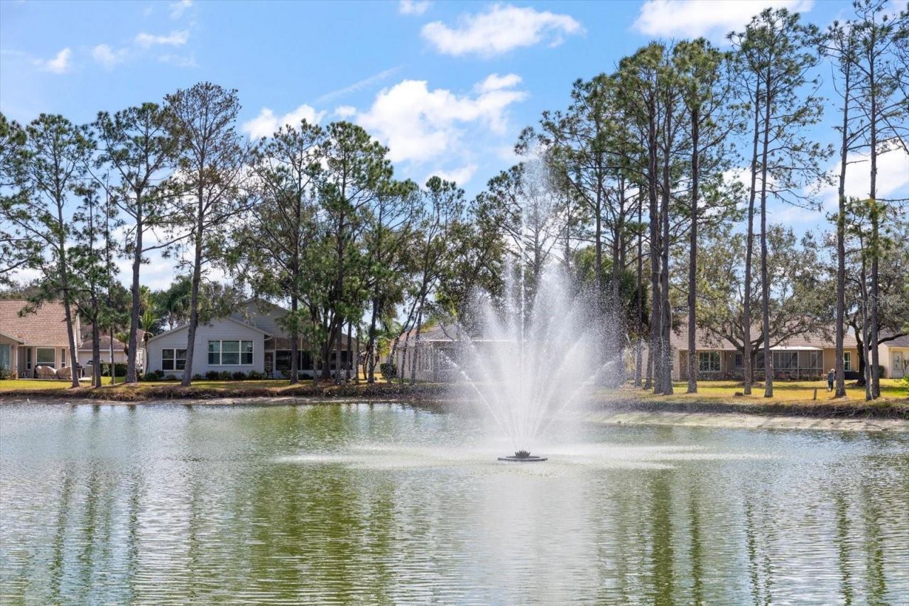 1237 Rambling Vine Court, Trinity, FL 34655 Photo