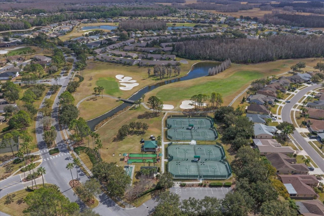 1237 Rambling Vine Court, Trinity, FL 34655 Photo