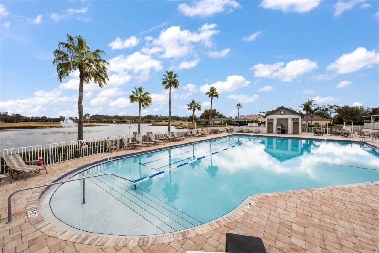 1237 Rambling Vine Court, Trinity, FL 34655 Photo