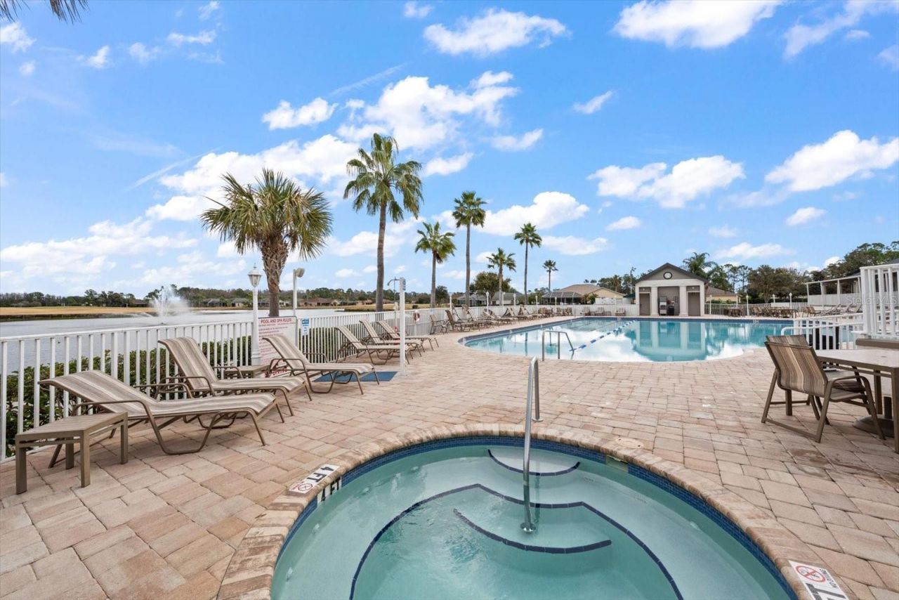 1237 Rambling Vine Court, Trinity, FL 34655 Photo