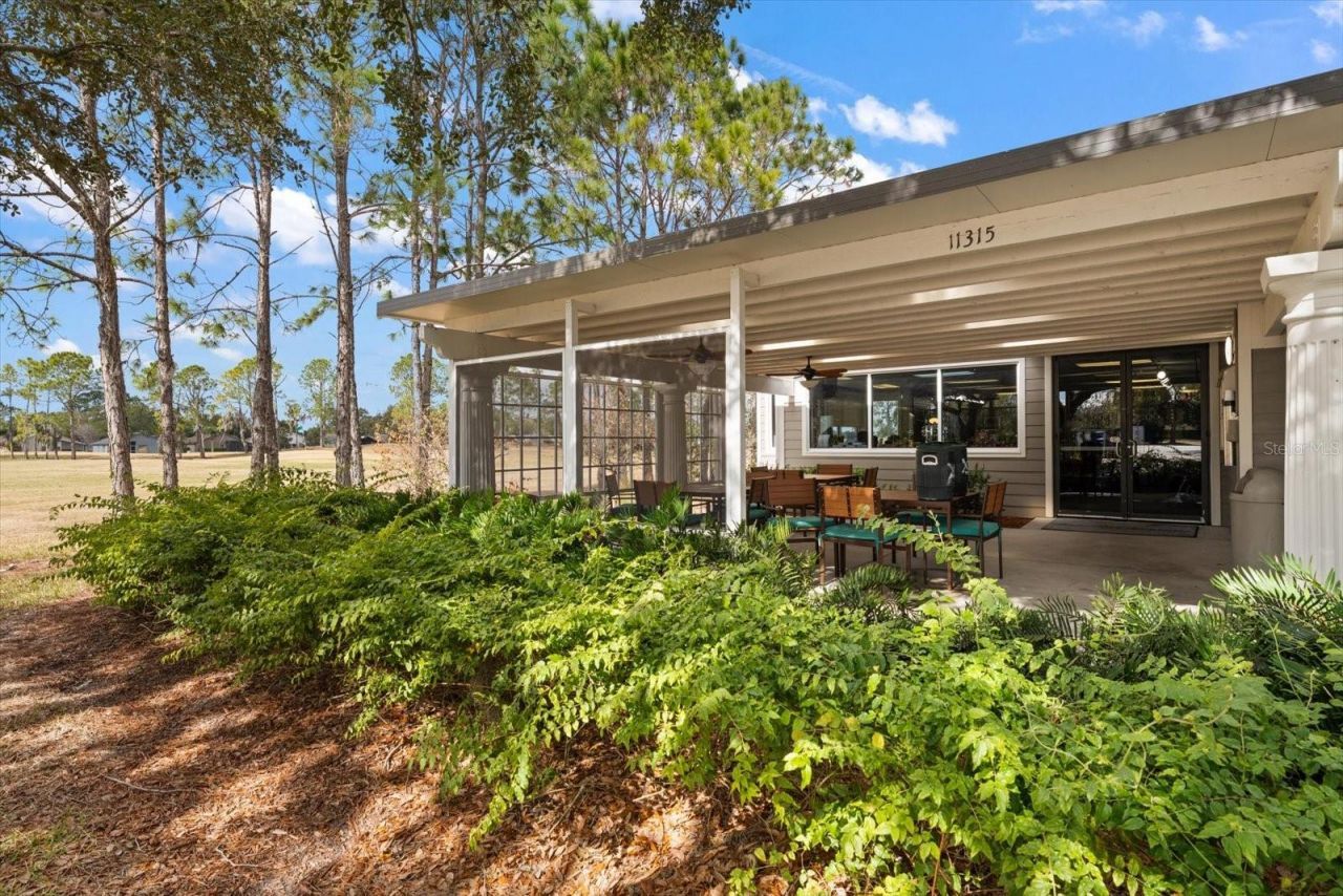 1237 Rambling Vine Court, Trinity, FL 34655 Photo