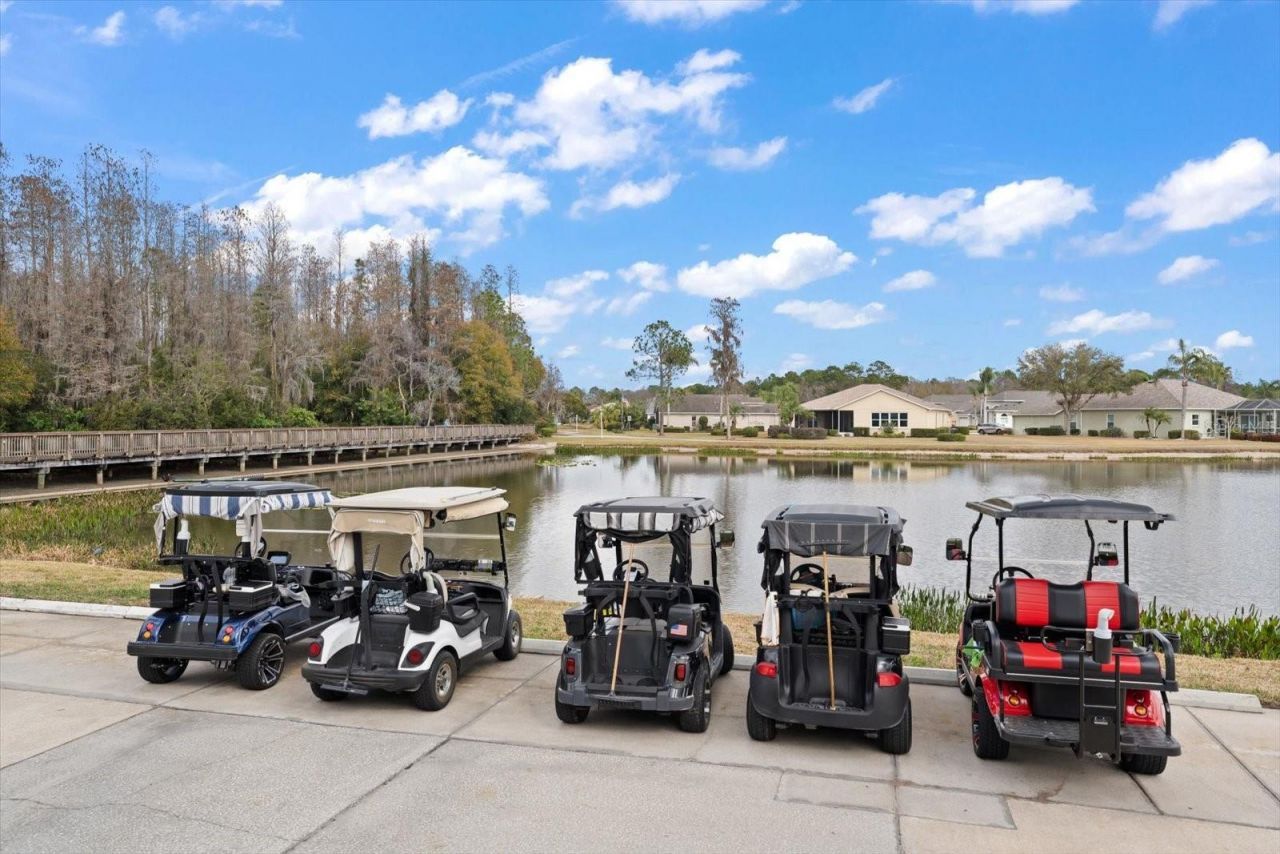 1237 Rambling Vine Court, Trinity, FL 34655 Photo