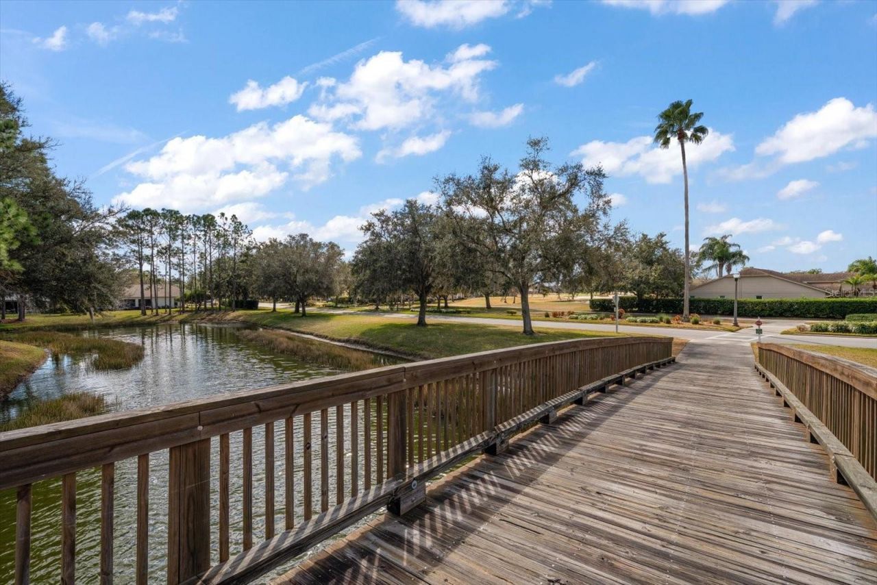 1237 Rambling Vine Court, Trinity, FL 34655 Photo