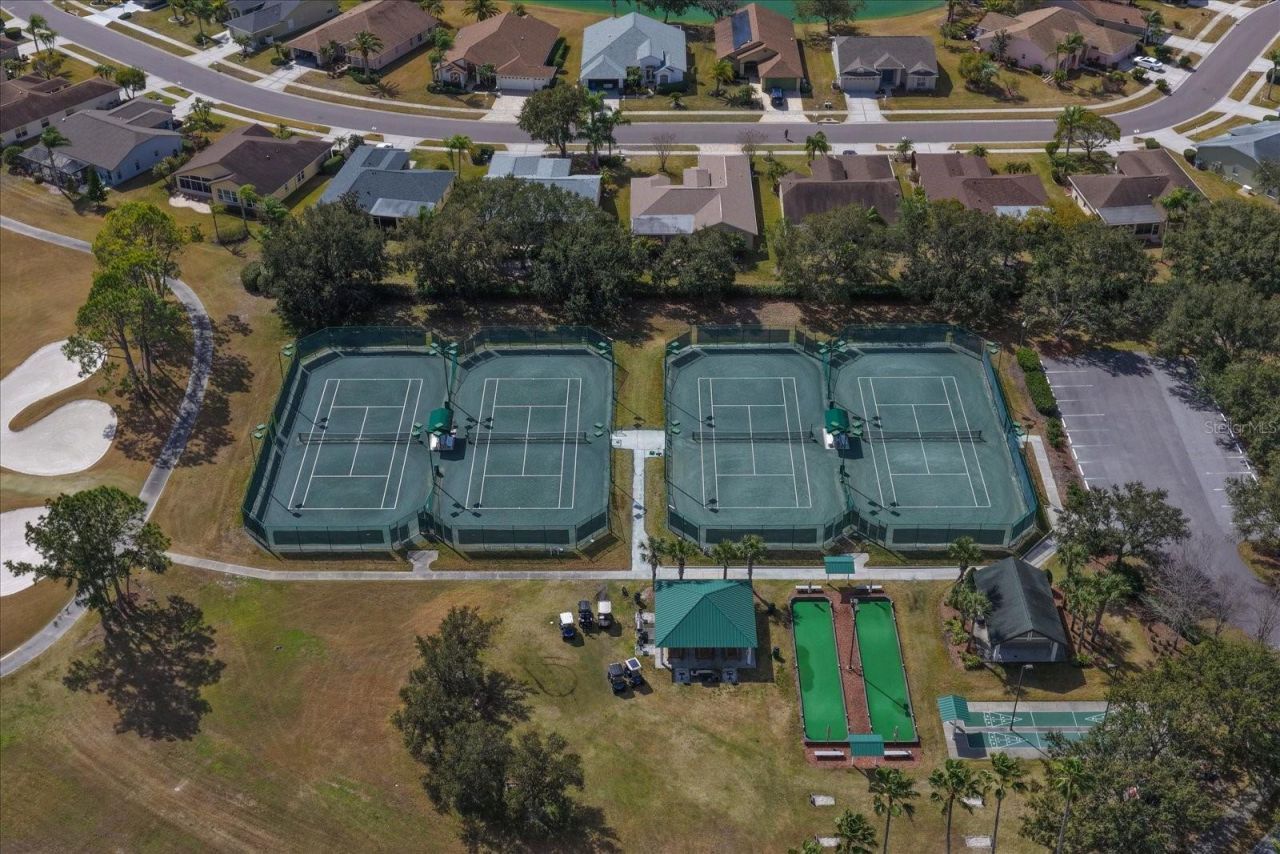 1237 Rambling Vine Court, Trinity, FL 34655 Photo