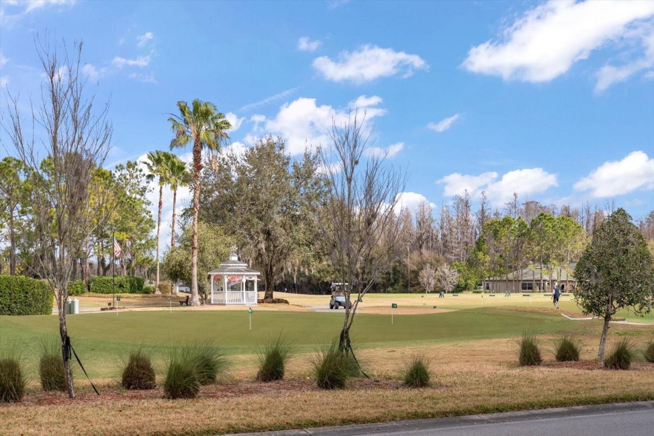 1237 Rambling Vine Court, Trinity, FL 34655 Photo