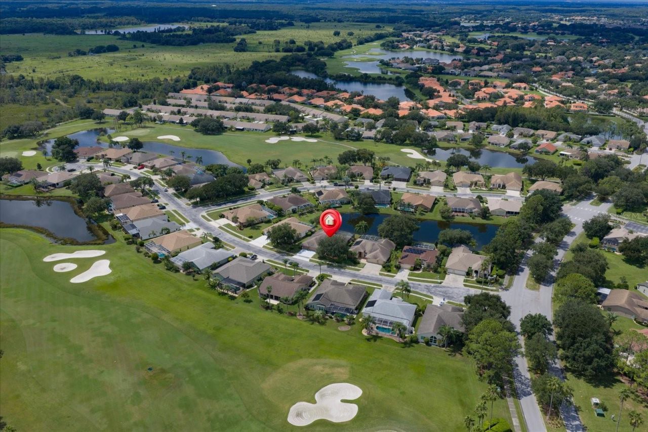 1237 Rambling Vine Court, Trinity, FL 34655 Photo