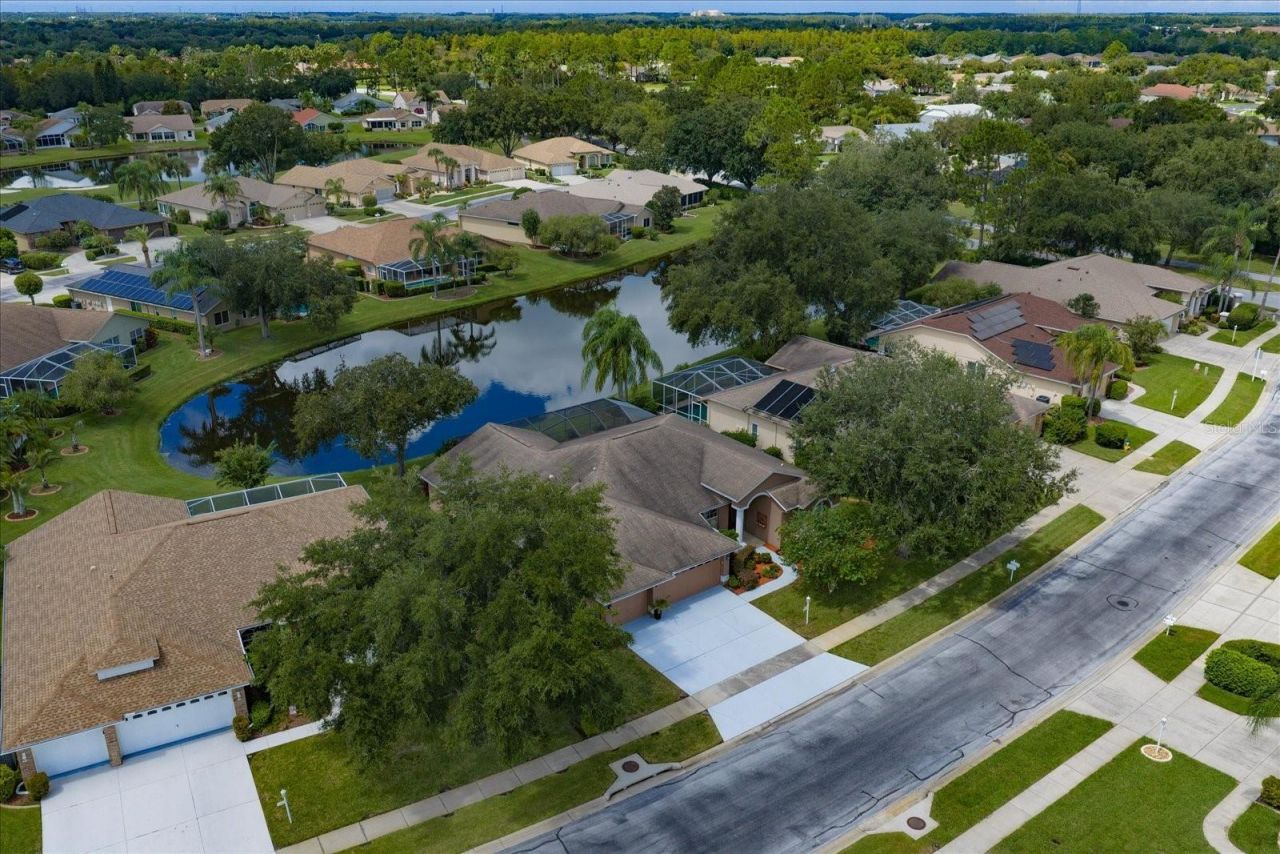 1237 Rambling Vine Court, Trinity, FL 34655 Photo