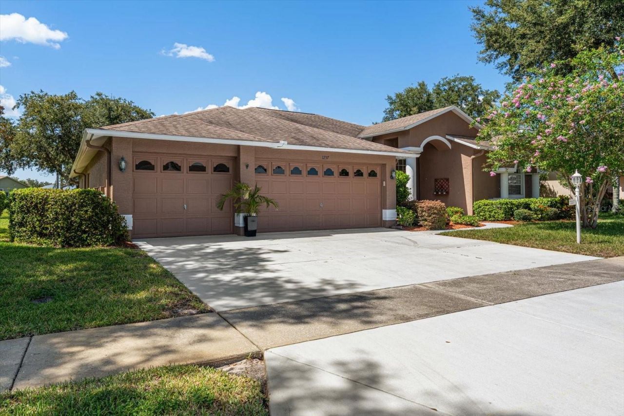 1237 Rambling Vine Court, Trinity, FL 34655 Photo