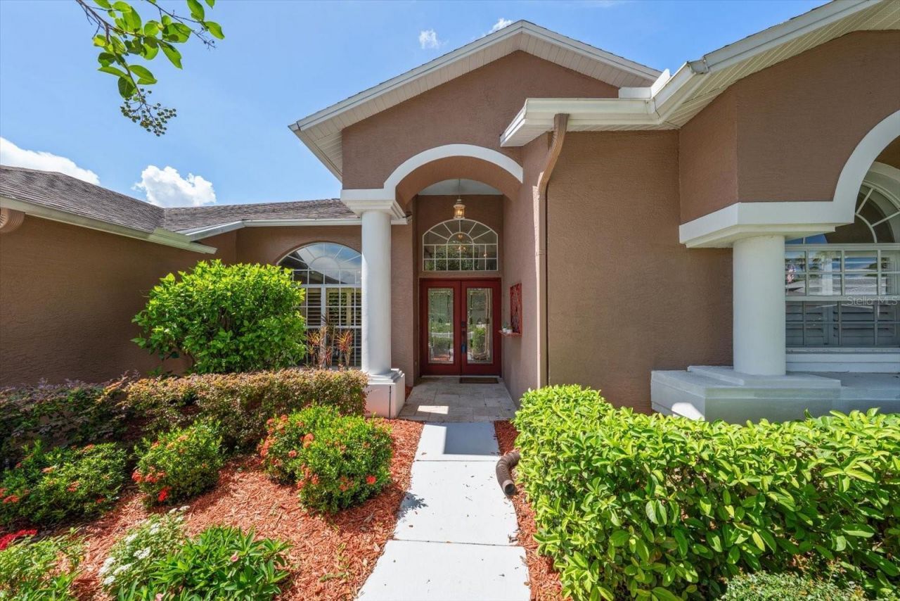 1237 Rambling Vine Court, Trinity, FL 34655 Photo