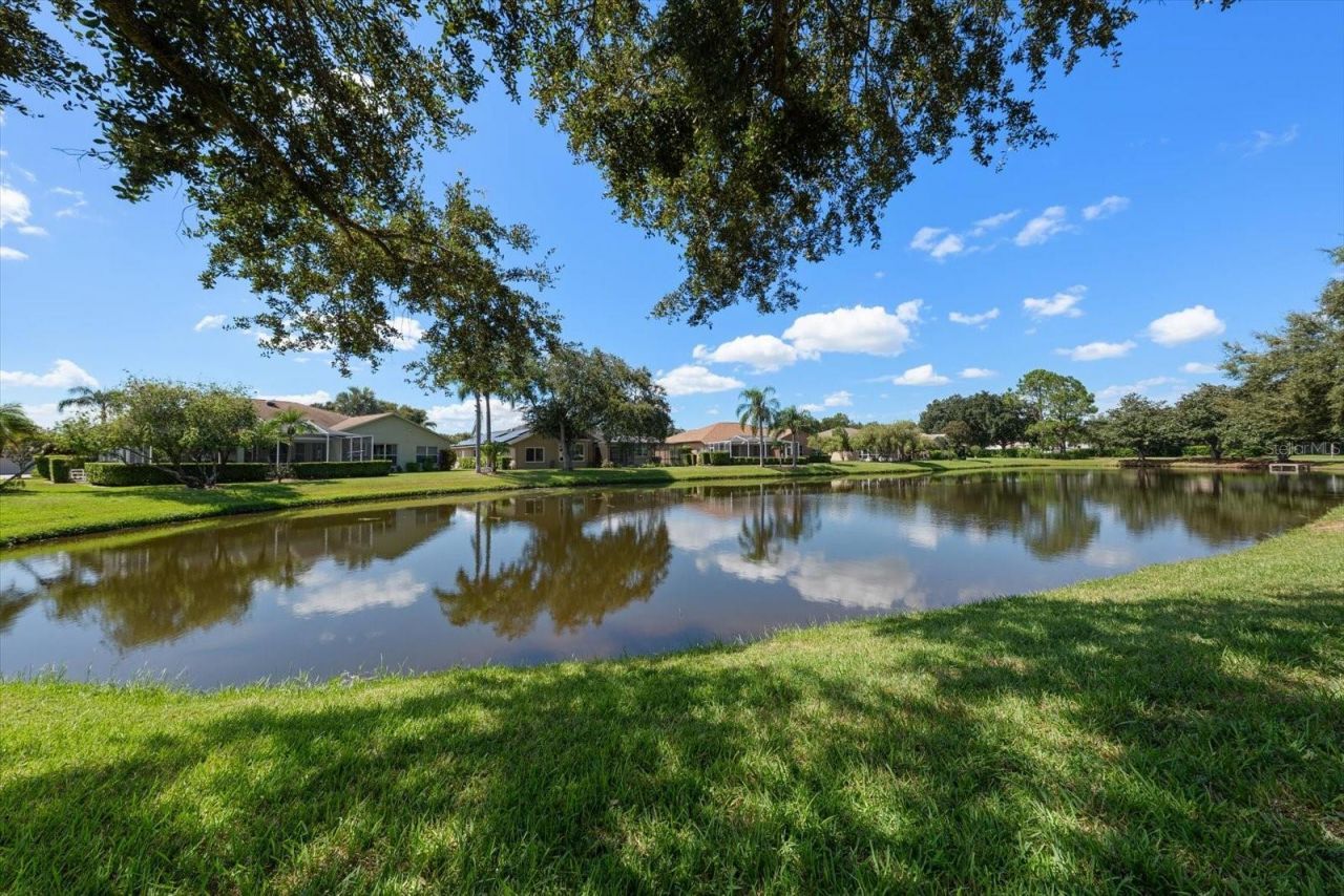 1237 Rambling Vine Court, Trinity, FL 34655 Photo