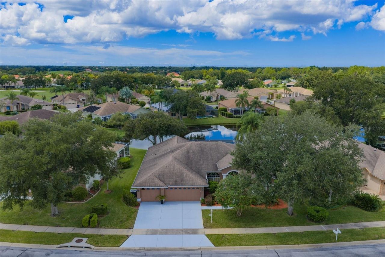 1237 Rambling Vine Court, Trinity, FL 34655 Photo