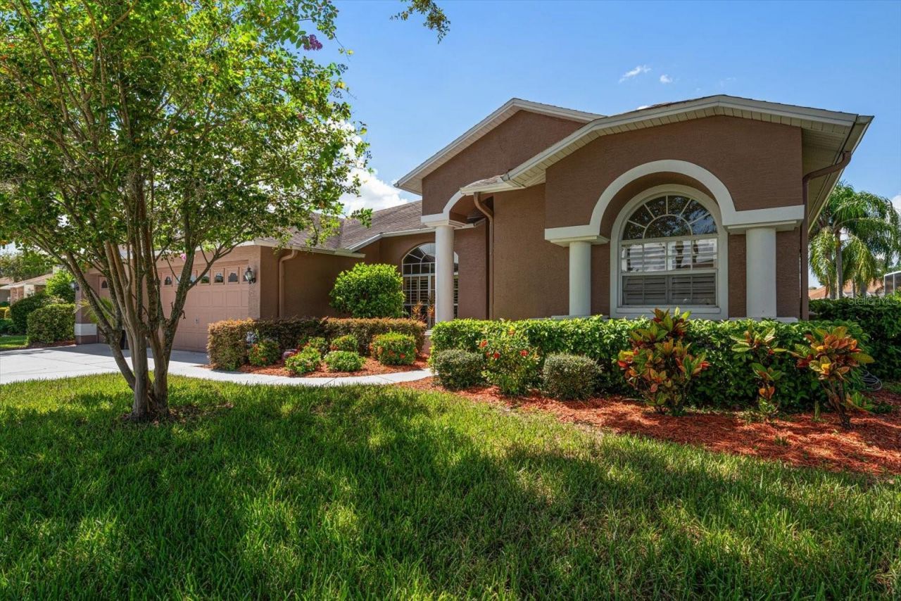 1237 Rambling Vine Court, Trinity, FL 34655 Photo
