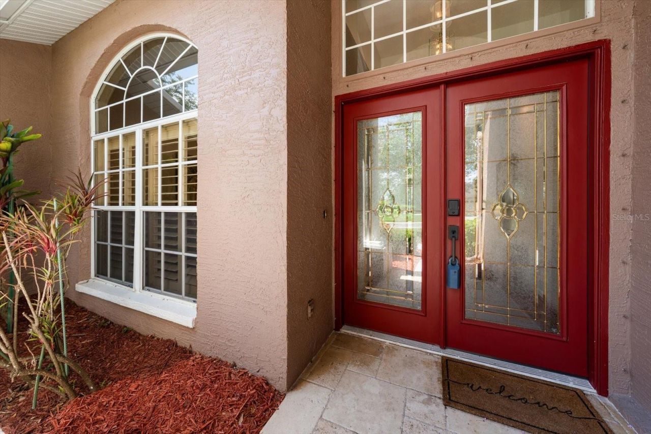 1237 Rambling Vine Court, Trinity, FL 34655 Photo