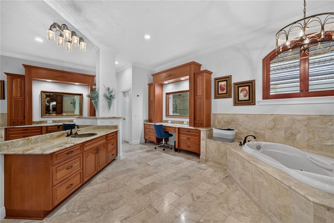21732 Shamu Drive, Land O Lakes, FL 34639 Photo