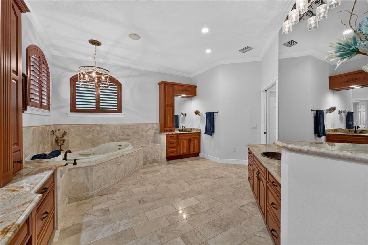 21732 Shamu Drive, Land O Lakes, FL 34639 Photo