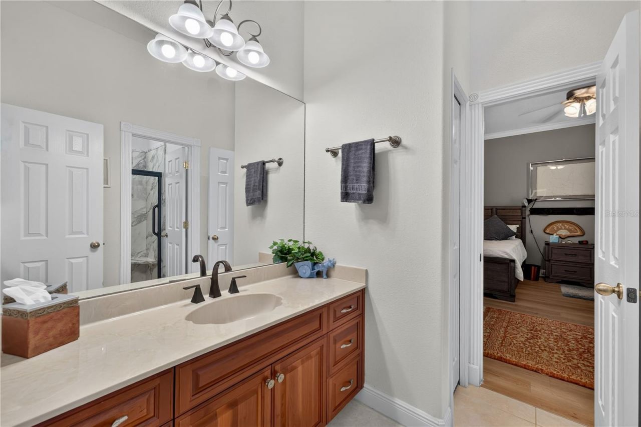 21732 Shamu Drive, Land O Lakes, FL 34639 Photo
