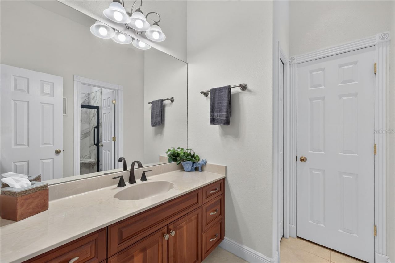 21732 Shamu Drive, Land O Lakes, FL 34639 Photo