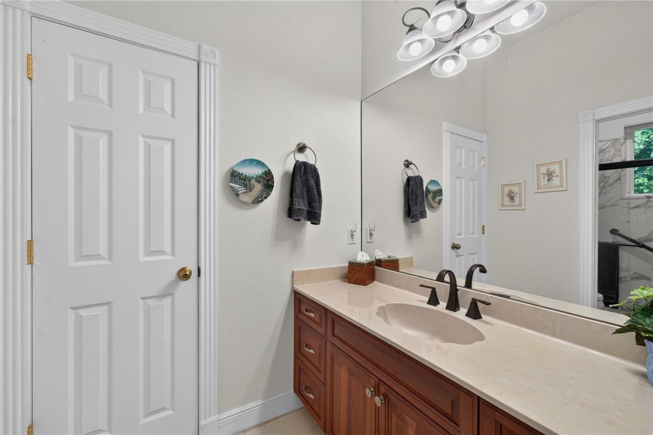21732 Shamu Drive, Land O Lakes, FL 34639 Photo