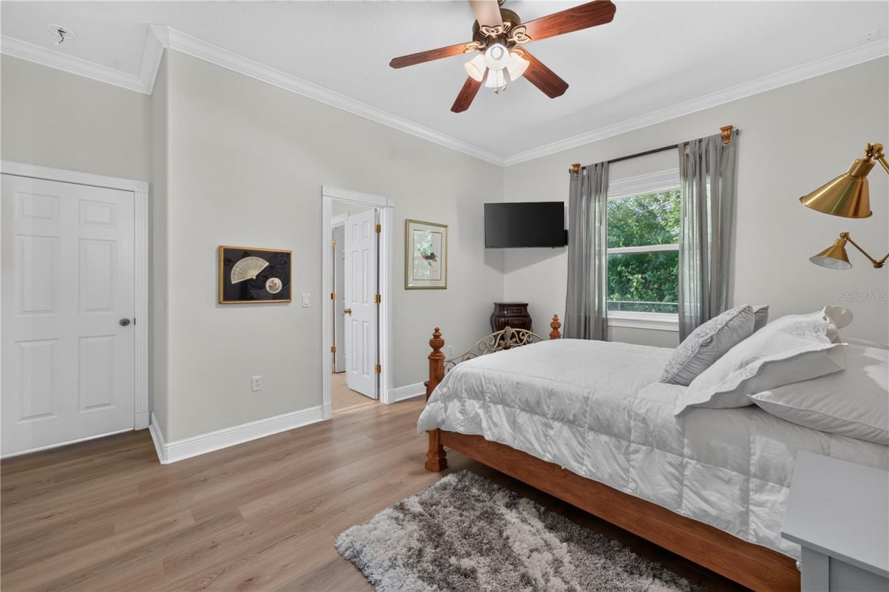 21732 Shamu Drive, Land O Lakes, FL 34639 Photo