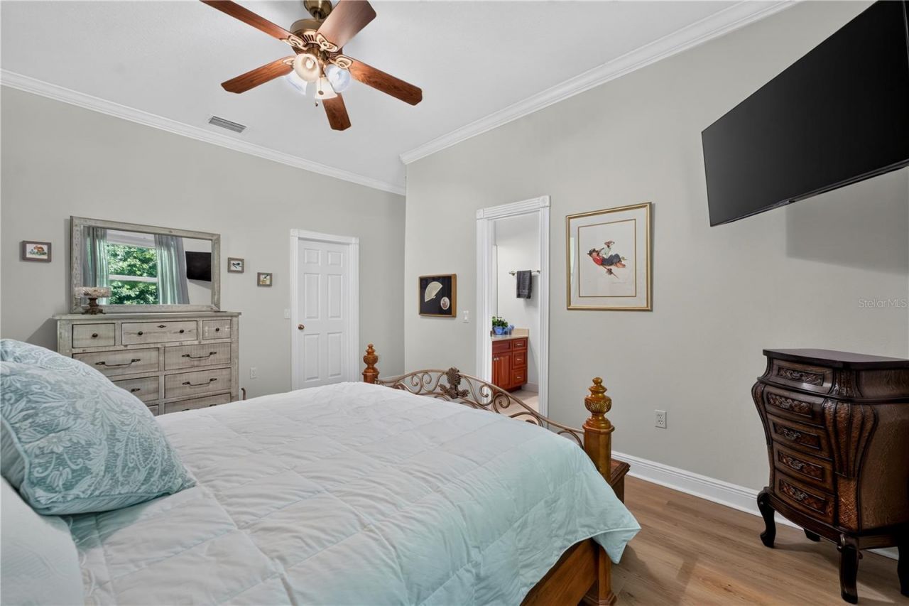 21732 Shamu Drive, Land O Lakes, FL 34639 Photo