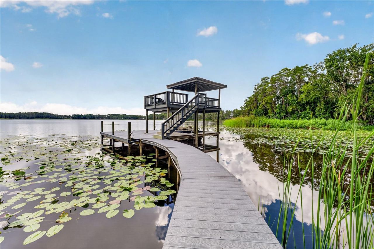 21732 Shamu Drive, Land O Lakes, FL 34639 Photo