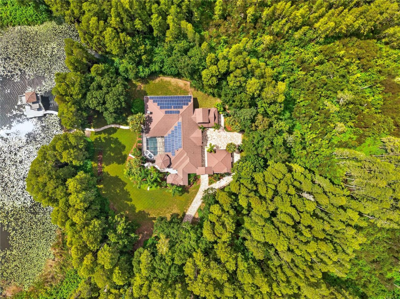 21732 Shamu Drive, Land O Lakes, FL 34639 Photo
