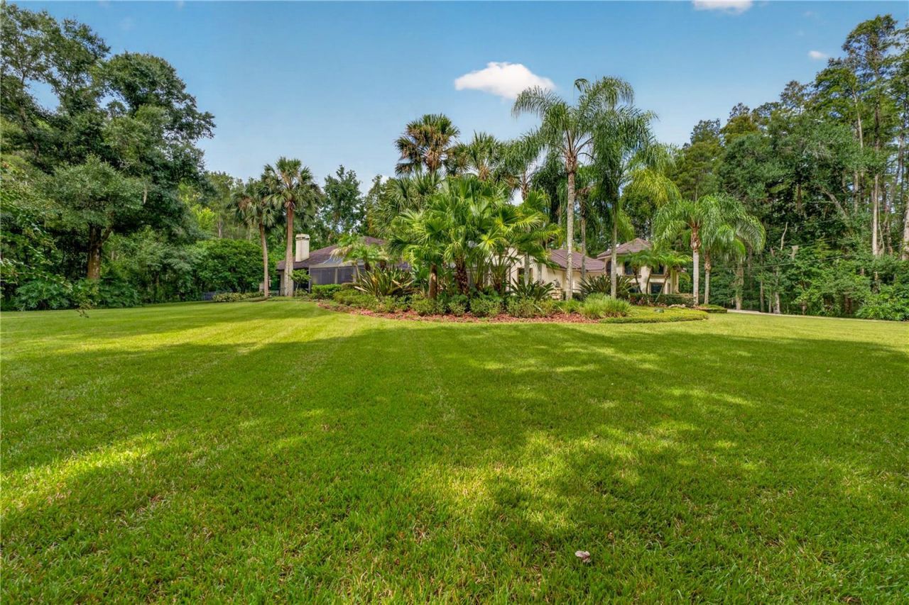 21732 Shamu Drive, Land O Lakes, FL 34639 Photo