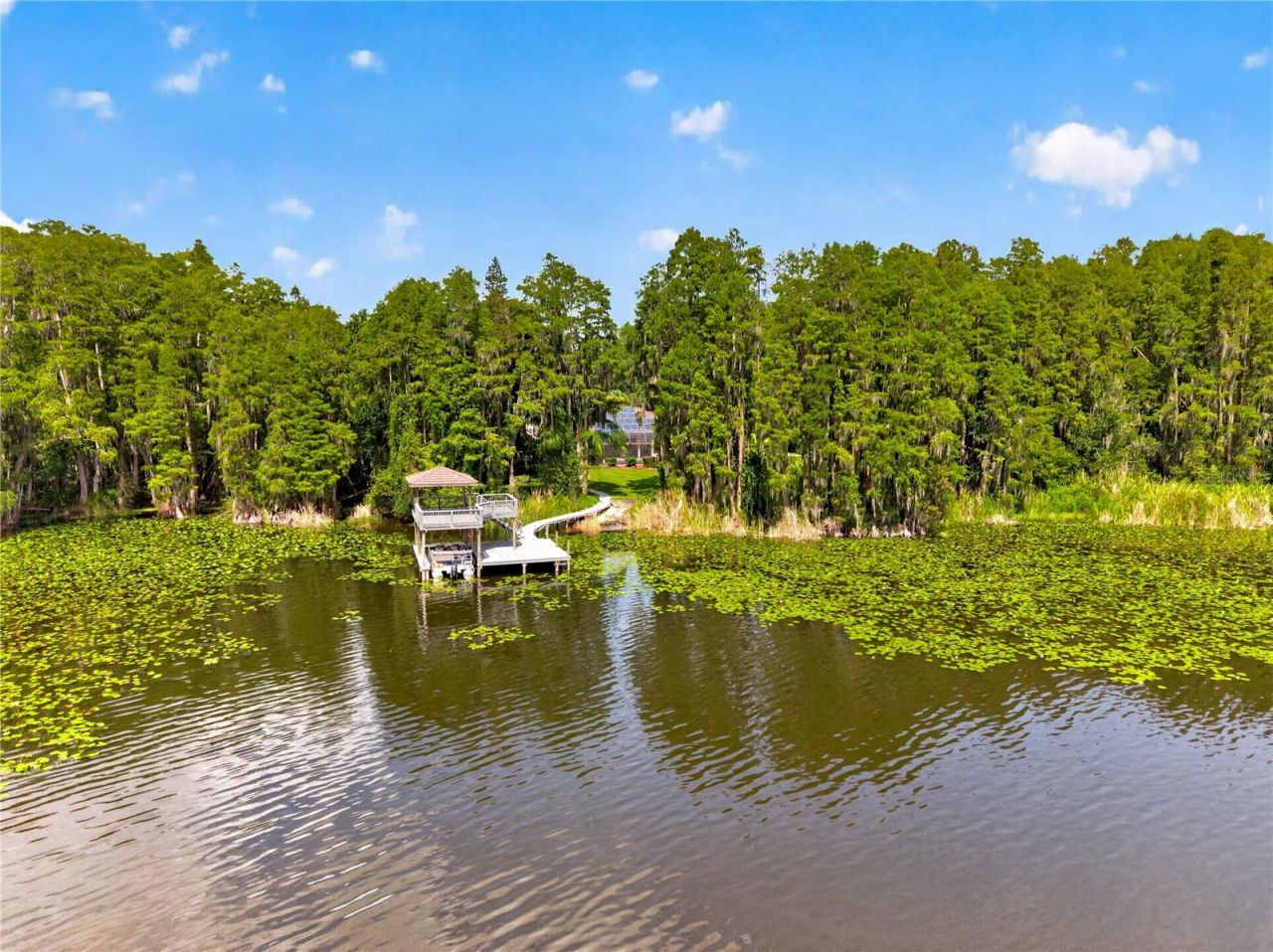 21732 Shamu Drive, Land O Lakes, FL 34639 Photo